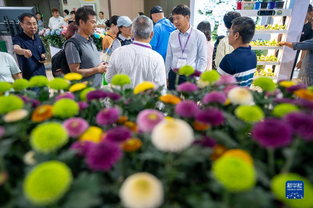 欧赔合理区间表